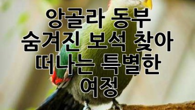 💎 앙골라 동부, 숨겨진 보석 찾아 떠나는 특별한 여정 ✨