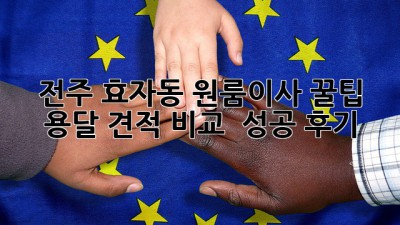 전주 효자동 원룸이사 꿀팁🍯 용달 견적 비교 & 성공 후기
