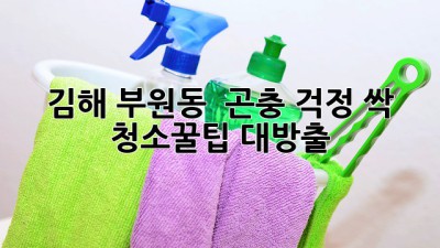 김해 부원동 🏡 곤충 걱정 싹! ✨ 청소꿀팁 대방출!