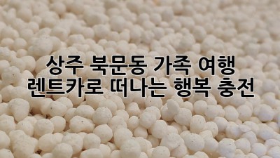 상주 북문동 가족 여행🚗 렌트카로 떠나는 행복 충전!